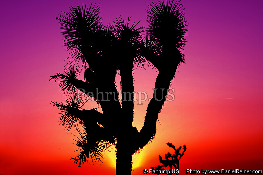 Image of Desert Sunset in the Pahrump Valley
